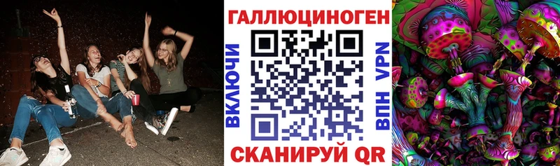 Галлюциногенные грибы Psilocybe Енисейск