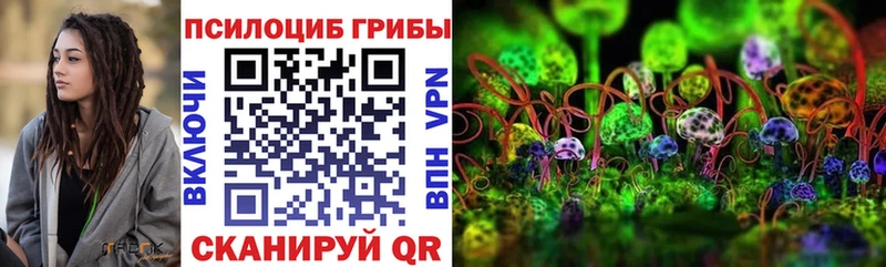 Псилоцибиновые грибы MAGIC MUSHROOMS  Купить  Енисейск 