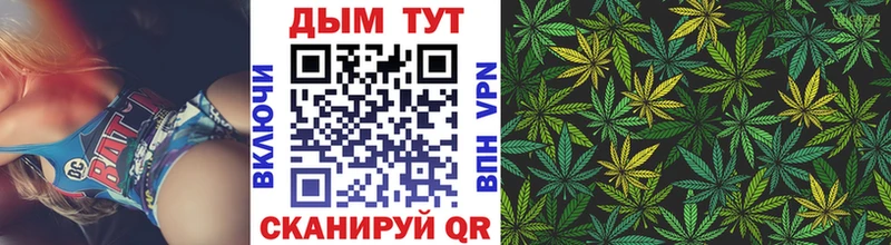 Бошки марихуана White Widow  Купить закладки  Енисейск 